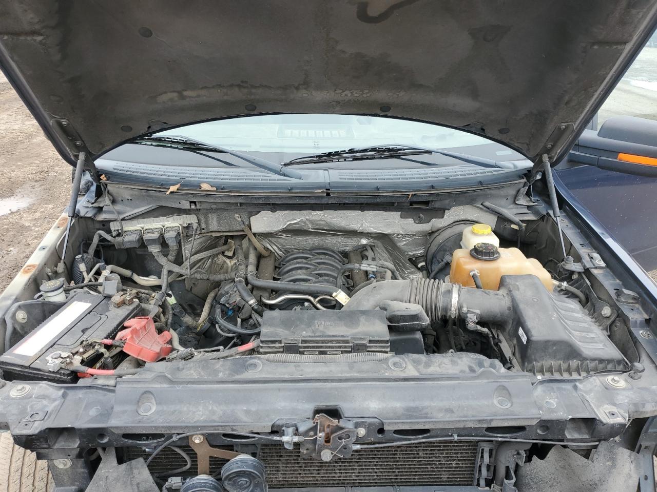 2014 Ford F-150 VIN 1FTFW1CF6EKG46282 Copart auction photo, front end / side damage thumbnail 12