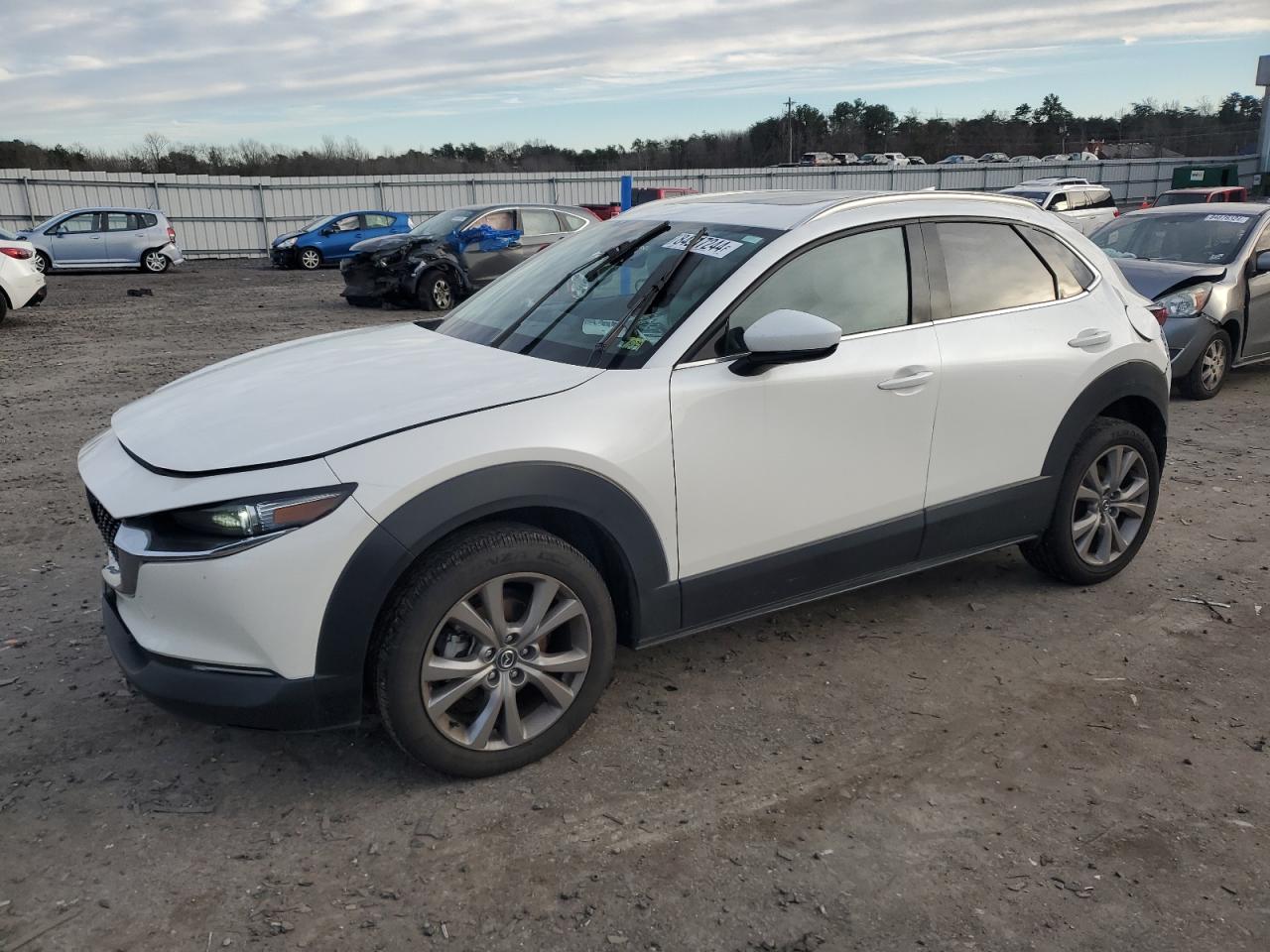 2023 Mazda CX-30 VIN 3MVDMBDM2PM560249