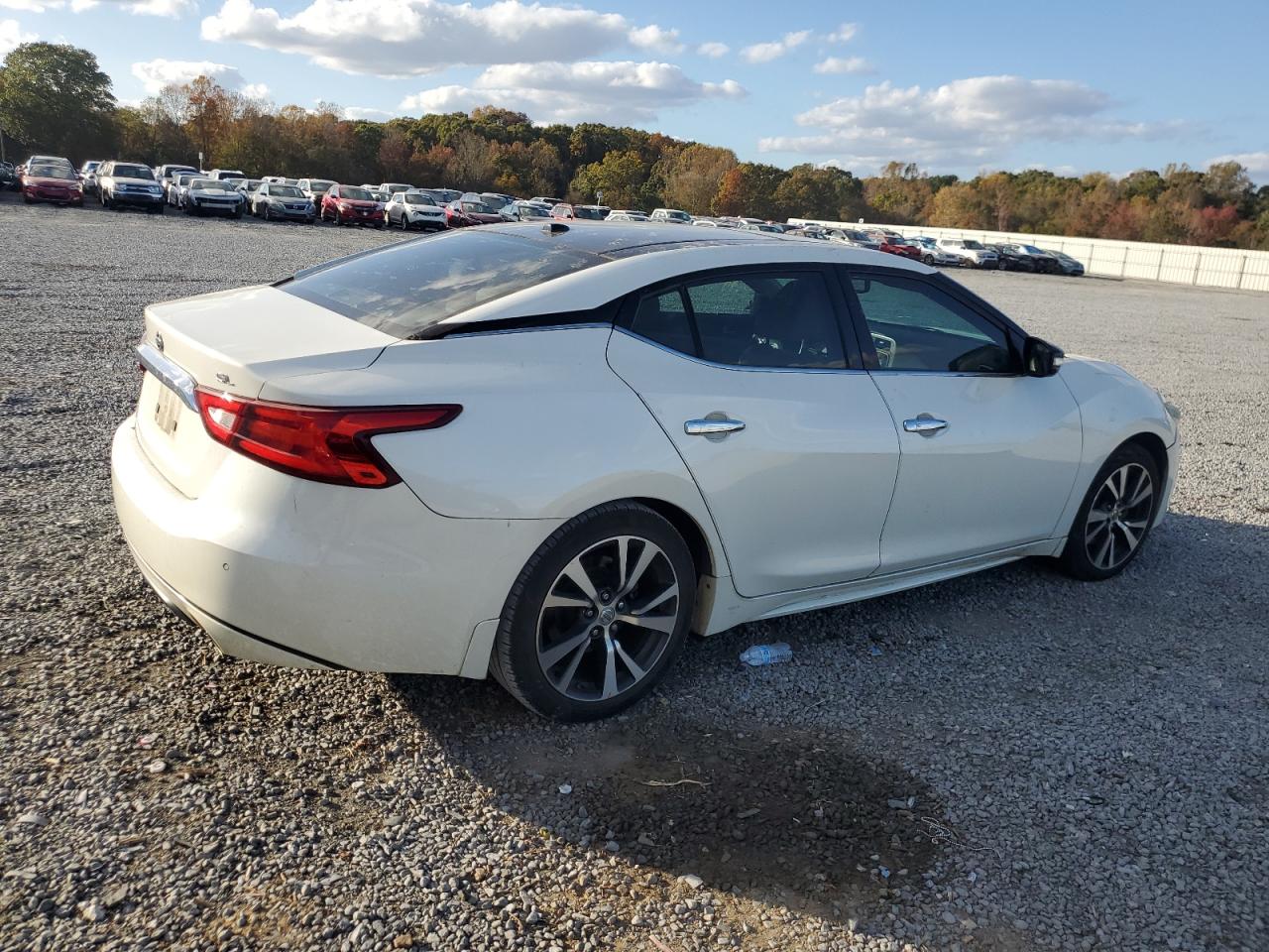 2016 Nissan Maxima VIN 1N4AA6AP7GC376175 Copart auction photo, side / front end damage thumbnail 3