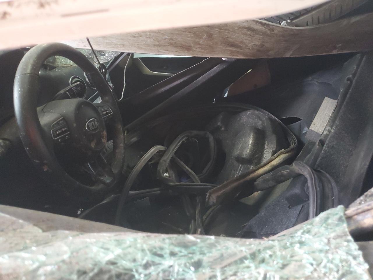 2019 KIA Stinger VIN KNAE15LA7K6045924 Copart auction photo, rollover damage thumbnail 7