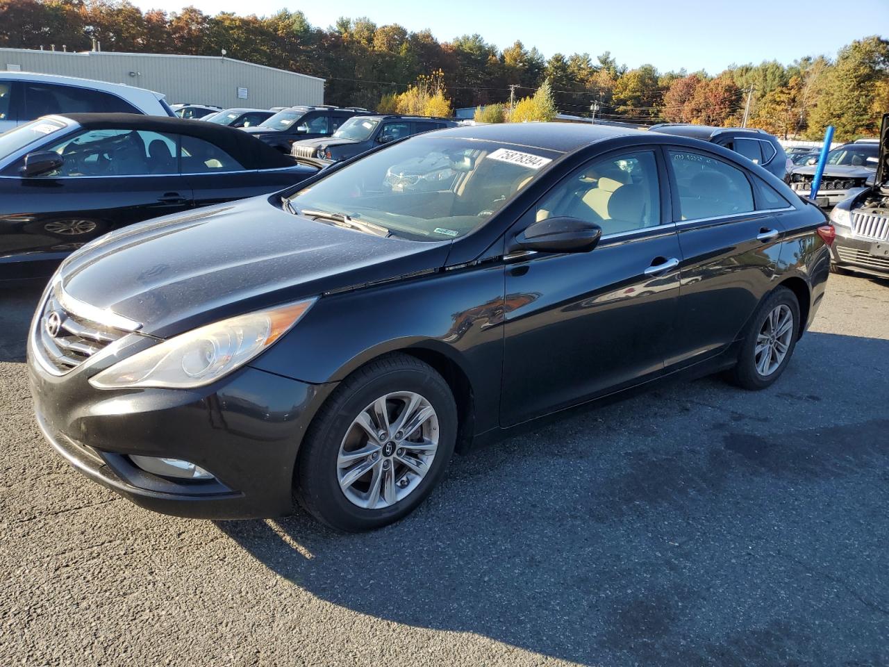 2013 Hyundai Sonata VIN 5NPEB4AC4DH779217