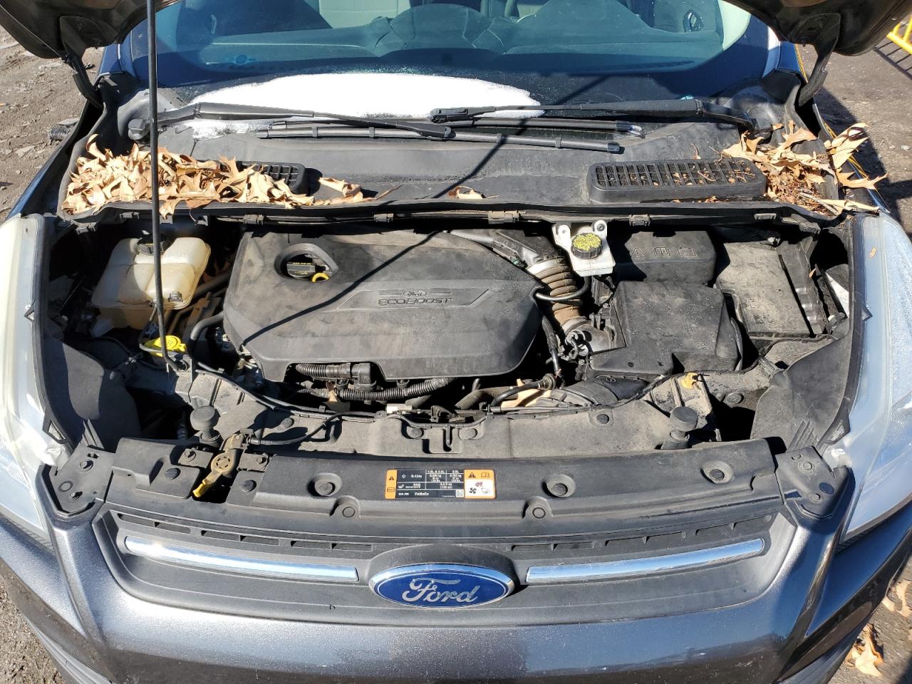 2016 Ford Escape VIN 1FMCU9GX0GUA01107 Copart auction photo, minor dent/scratches damage thumbnail 12