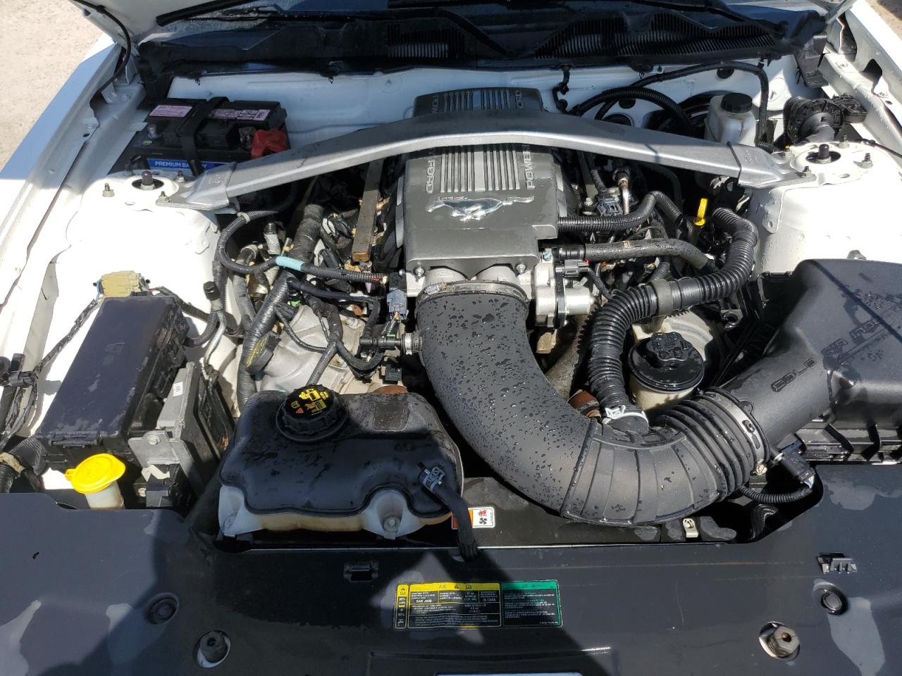 2010 Ford Mustang VIN 1ZVBP8CH9A5166331 Copart auction photo, water/flood damage thumbnail 11