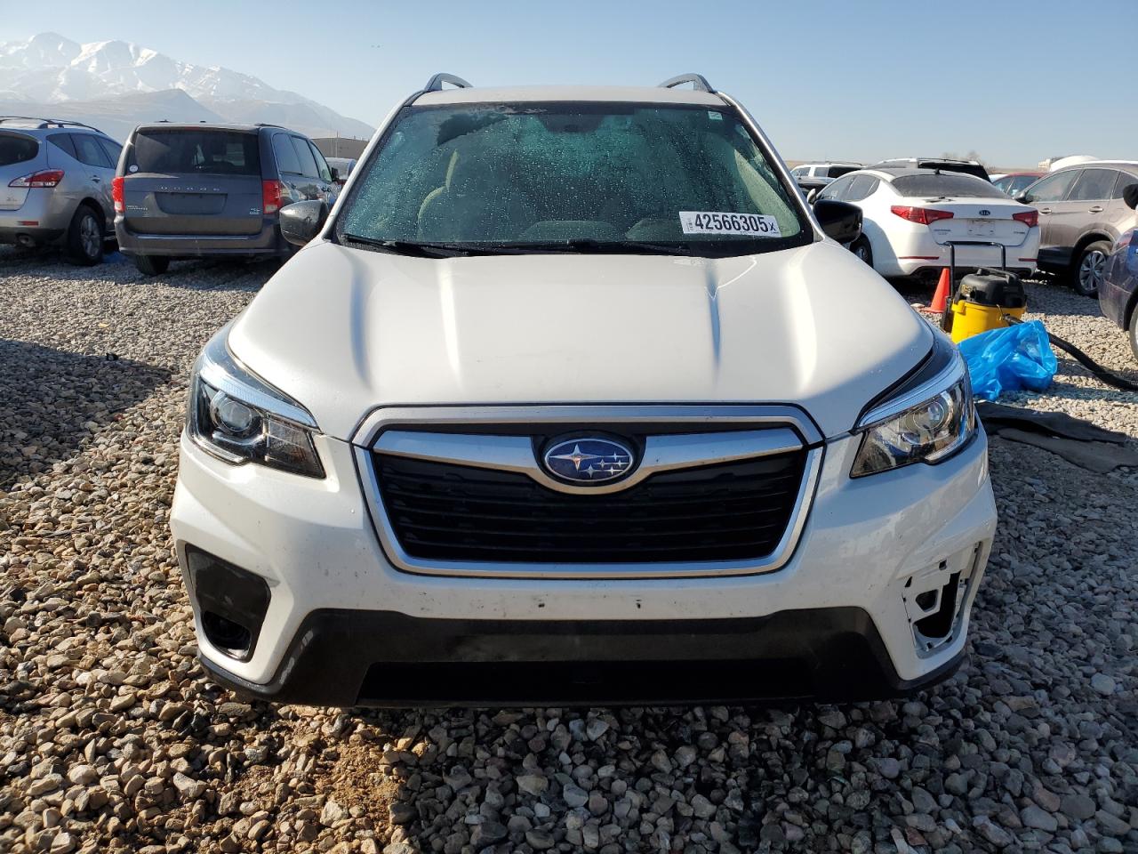 2020 Subaru Forester VIN JF2SKADC0LH438313 Copart auction photo, side damage thumbnail 5