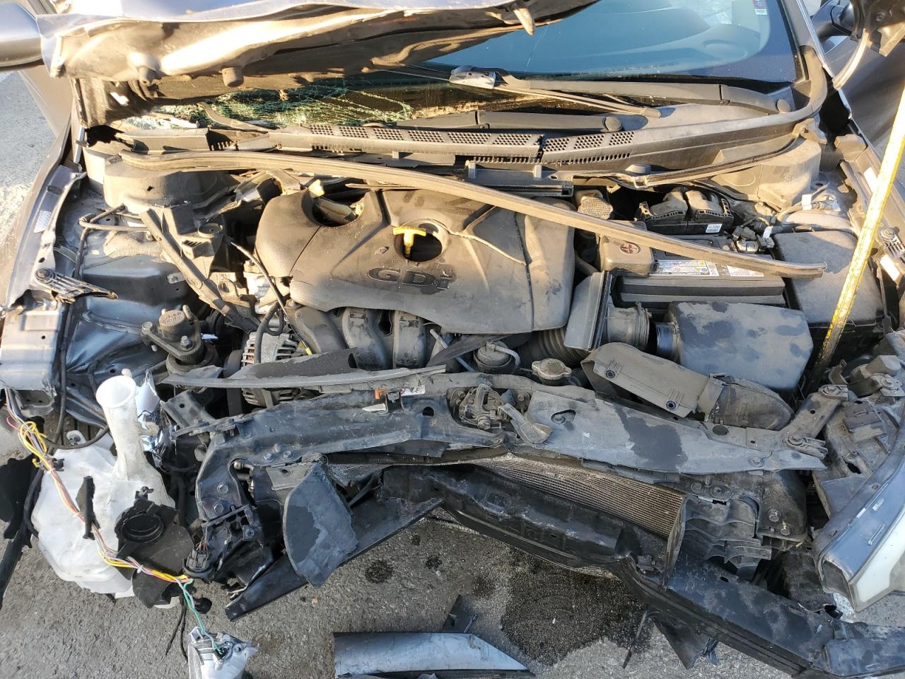 2016 KIA Forte VIN KNAFK5A82G5603161 Copart auction photo, front end / side damage thumbnail 11