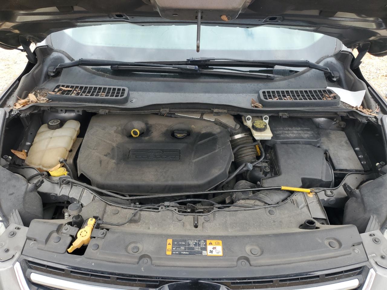 2013 Ford Escape VIN 1FMCU9H93DUA10167 Copart auction photo, side damage thumbnail 14