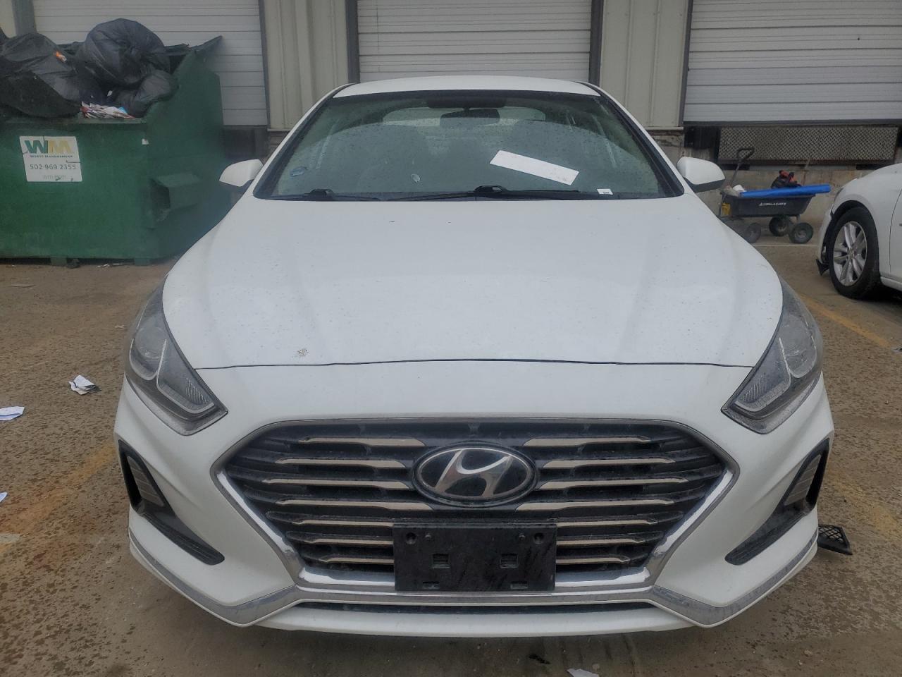 2019 Hyundai Sonata VIN 5NPE24AF1KH817347 Copart auction photo, vandalism damage thumbnail 5