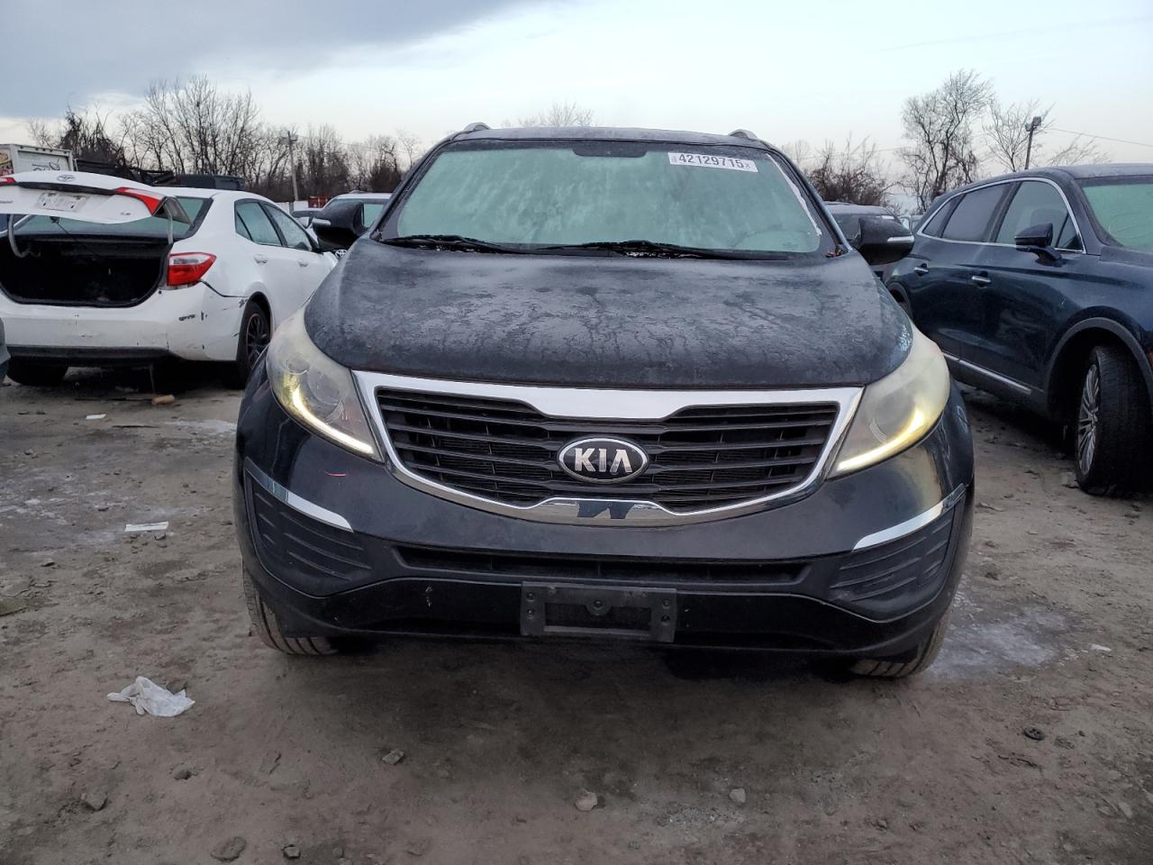 2013 KIA Sportage VIN KNDPBCA29D7384920 Copart auction photo, side / minor dent/scratches damage thumbnail 5