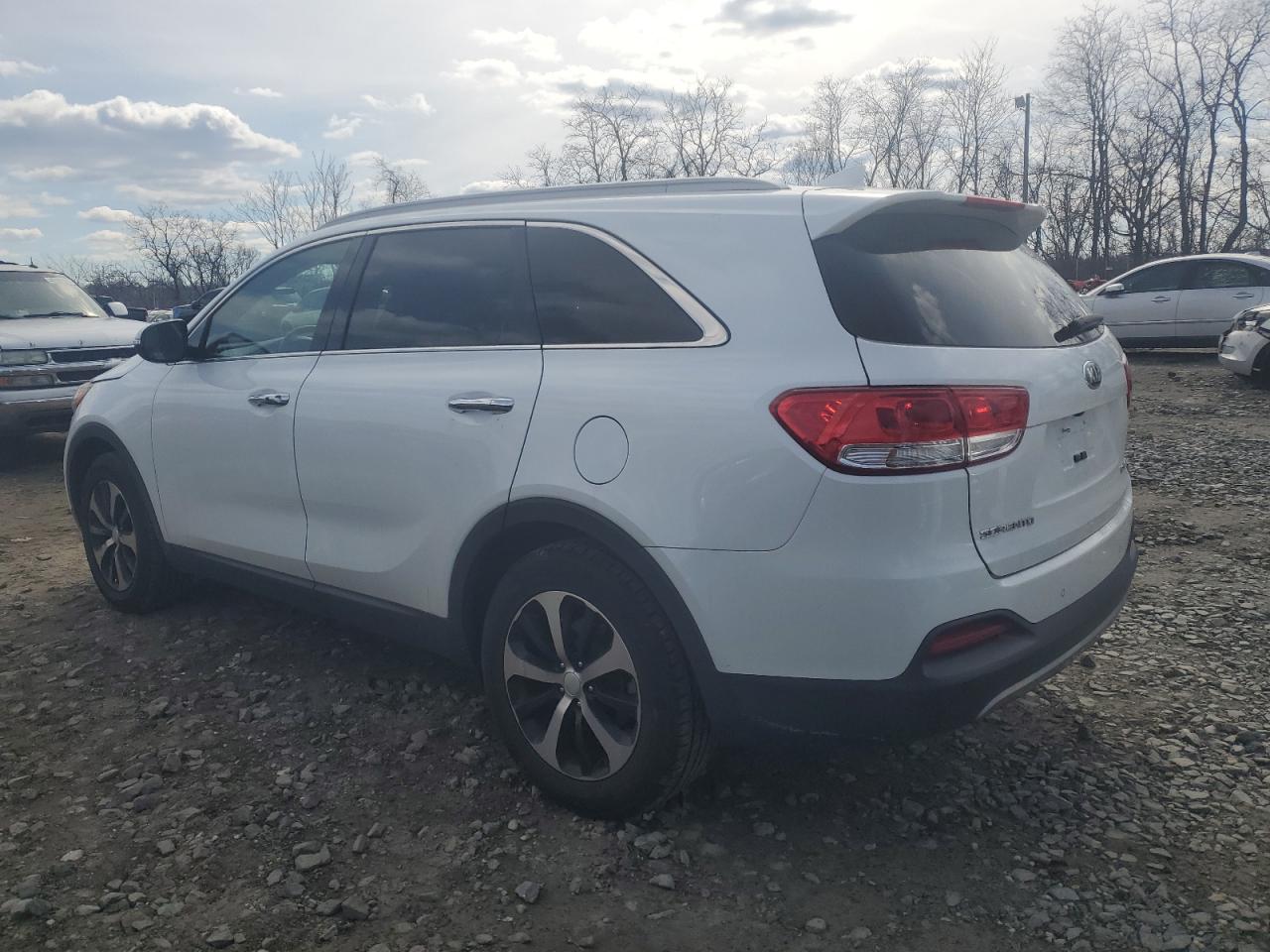 2017 KIA Sorento VIN 5XYPH4A17HG263775 Copart auction photo, side / minor dent/scratches damage thumbnail 2