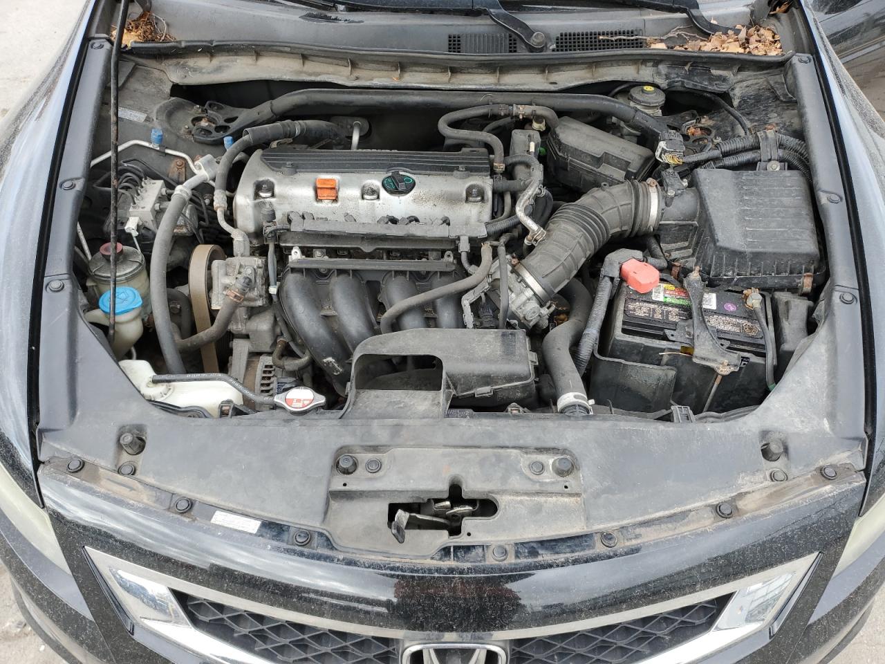 2010 Honda Accord VIN 1HGCS1B86AA001649 Copart auction photo, rear end / minor dent/scratches damage thumbnail 13