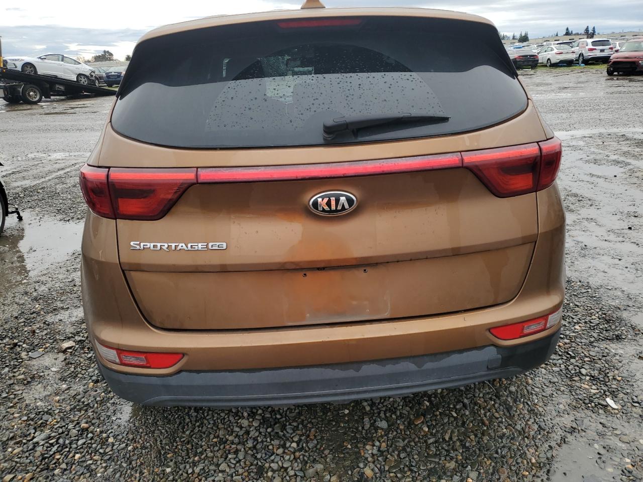 2019 KIA Sportage VIN KNDPM3AC8K7624121 Copart auction photo, side damage thumbnail 6
