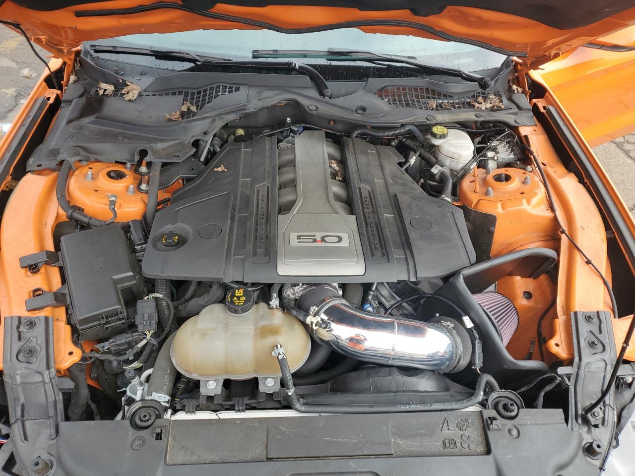 2020 Ford Mustang VIN 1FA6P8CF3L5118013 Copart auction photo, front end damage thumbnail 13