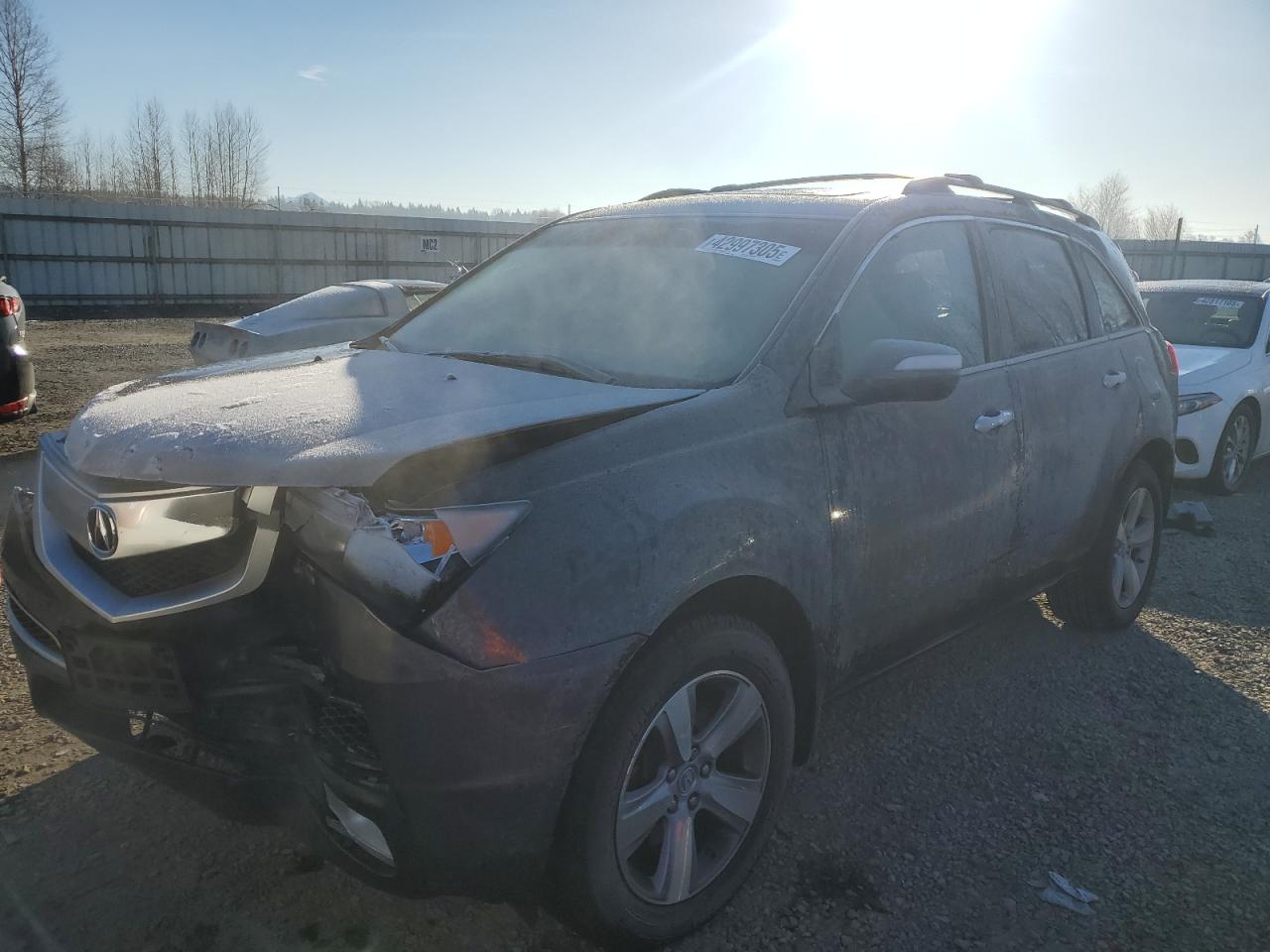 2011 Acura MDX VIN 2HNYD2H22BH518984