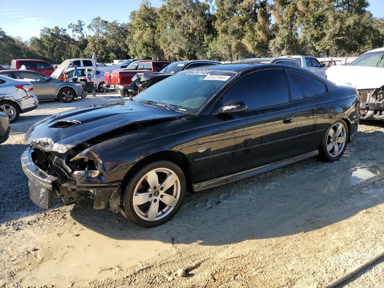 2005 Pontiac GTO VIN 6G2VX12U75L408533 - Copart auction photo