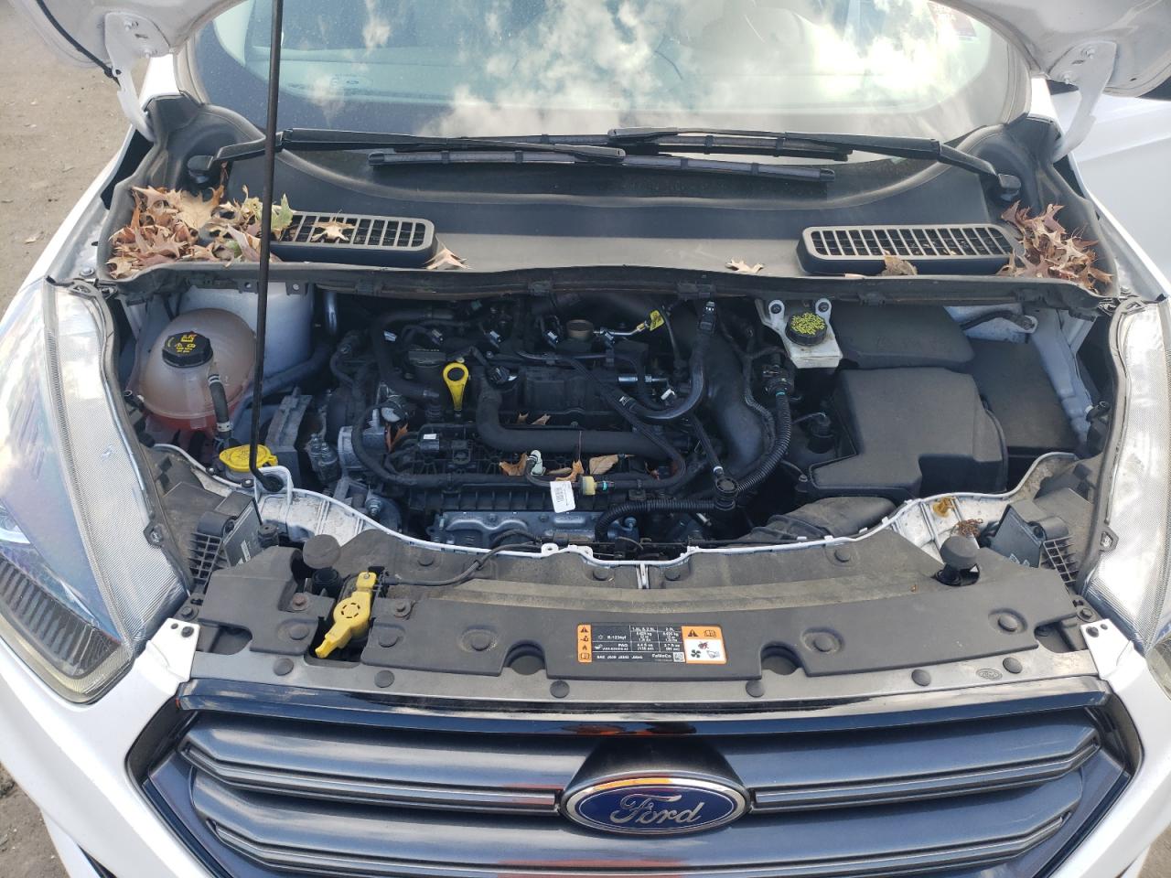 2019 Ford Escape VIN 1FMCU9HD4KUC43511 Copart auction photo, rear end / side damage thumbnail 11