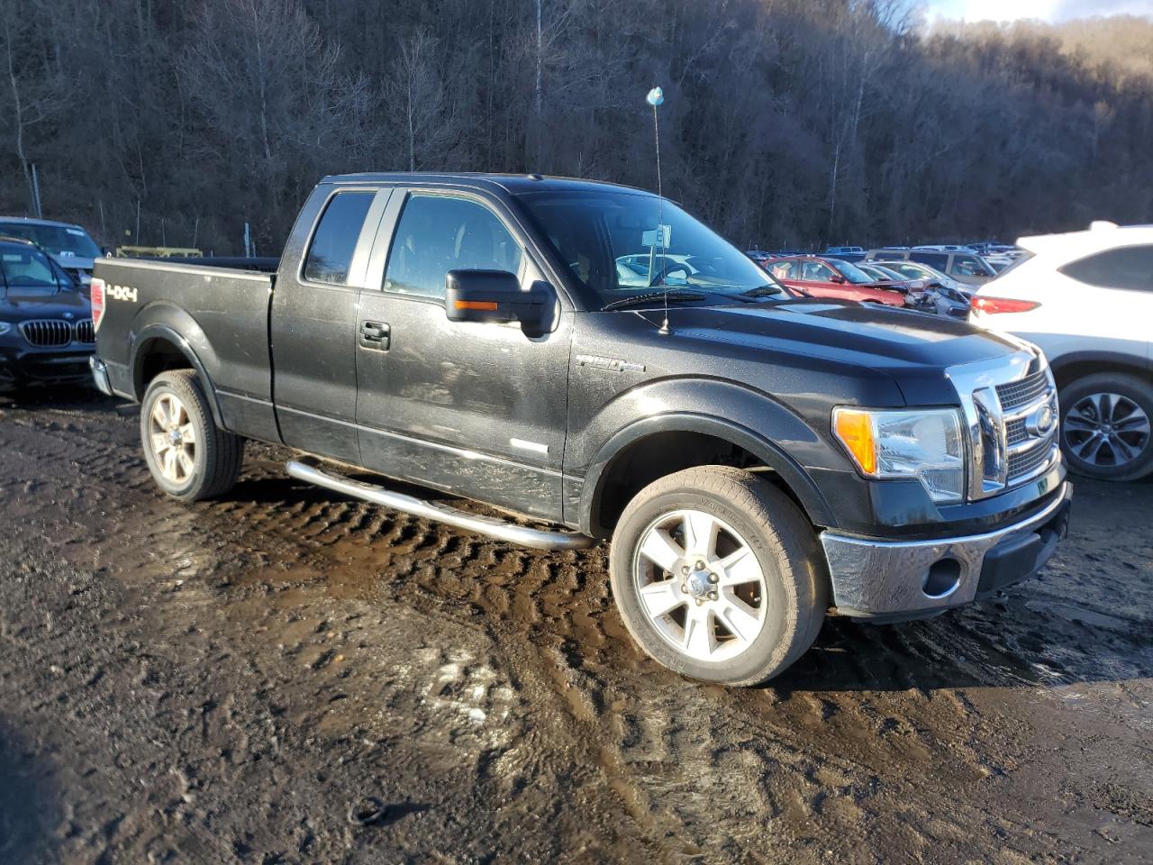 2011 Ford F-150 VIN 1FTFX1ET2BFA76222 Copart auction photo, rear end damage thumbnail 4