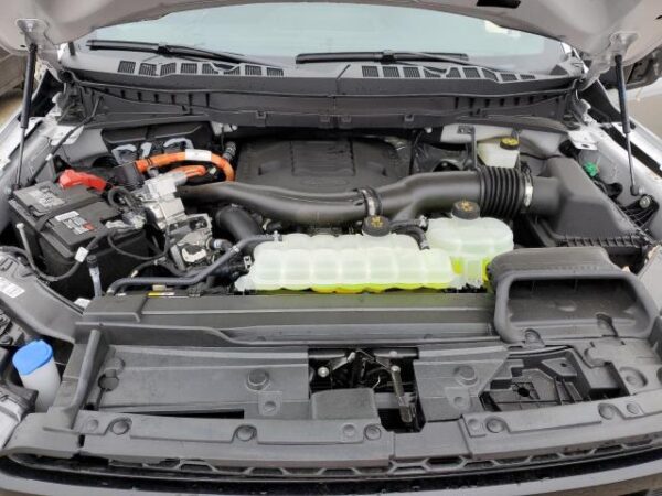 Ford F150 2023 - 1FTFW1ED6PFD02460