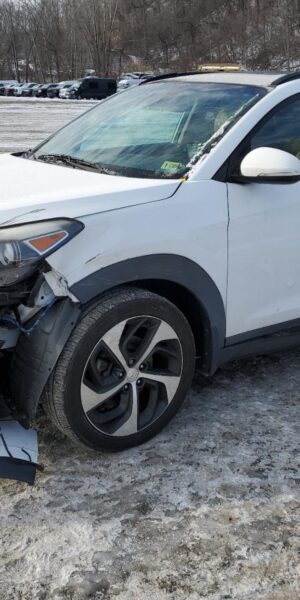 HYUNDAI TUCSON WHITE - KM8J3CA27GU031113