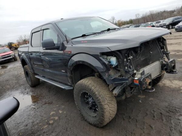 Ford F150 2015 - 1FTEW1EP1FKF10872