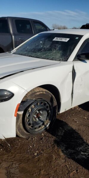 DODGE CHARGER WHITE - 2C3CDXKG9PH608906