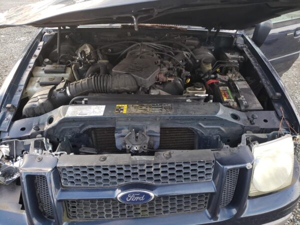 FORD EXPLORER BLUE - 1FMZU67E93UB00445