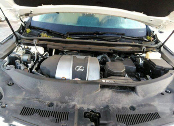 LEXUS RX350 2022 White — 2T2YGMDAXNC083194