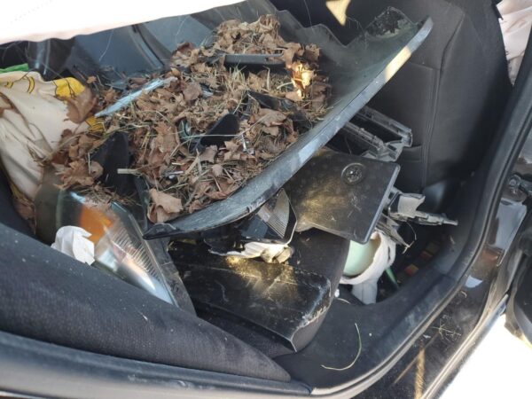 HONDA CIVIC BLACK - 19XFB2F84DE202446
