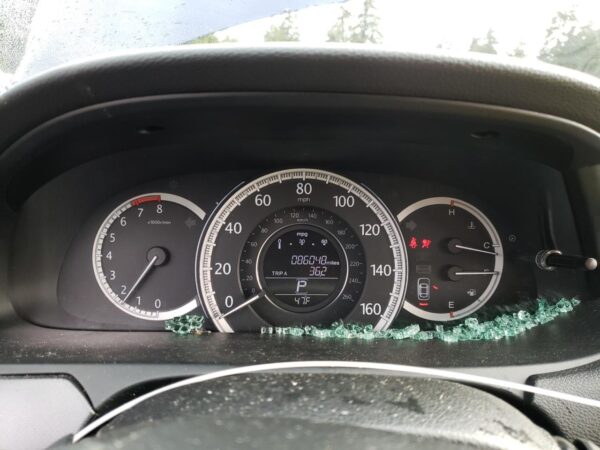 HONDA ACCORD BLUE - 1HGCR2F32DA217910