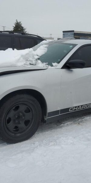 DODGE CHARGER SILVER - 2C3CDXAT8EH216155