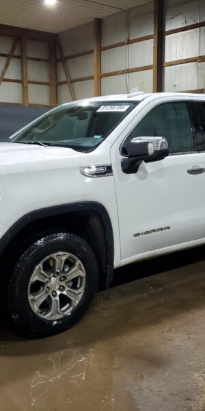 GMC SIERRA WHITE - 3GTUUDED9RG144812