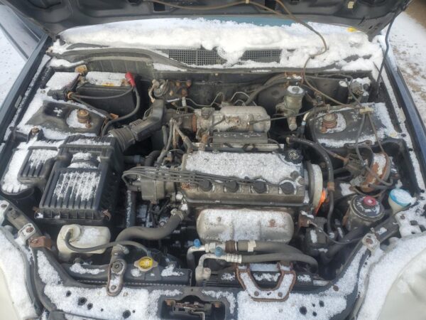 HONDA CIVIC BLACK - 1HGEJ8246YL023859