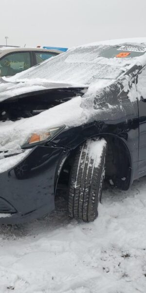 HONDA CIVIC BLACK - 19XFB2F88FE005900