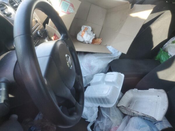 NISSAN ALTIMA SILVER - 1N4AL2AP3BC102239