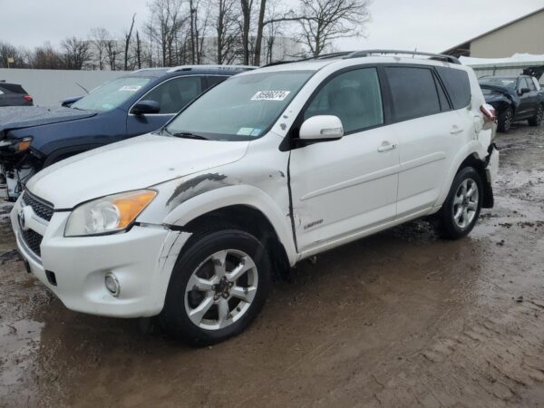 TOYOTA RAV4 WHITE - 2T3ZK31V69W002003