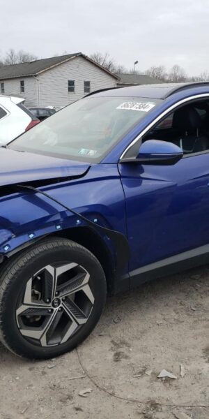 HYUNDAI TUCSON BLUE - 5NMJCCAE2NH105492