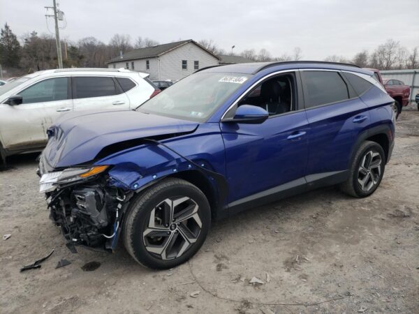 HYUNDAI TUCSON BLUE - 5NMJCCAE2NH105492