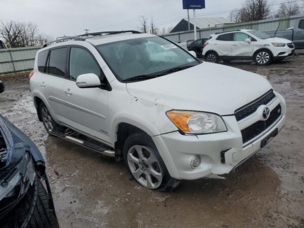 TOYOTA RAV4 WHITE - 2T3ZK31V69W002003