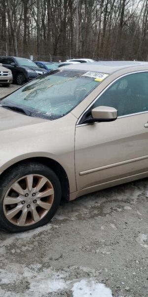HONDA ACCORD GOLD - 1HGCM66526A010850