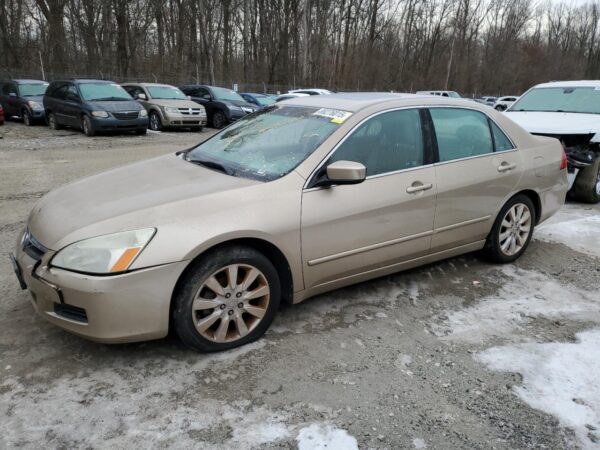 HONDA ACCORD GOLD - 1HGCM66526A010850