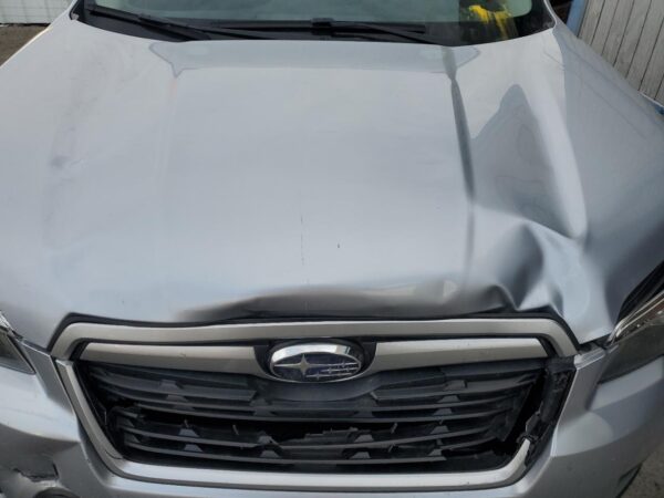 SUBARU FORESTER SILVER - JF2SKACC4KH511375