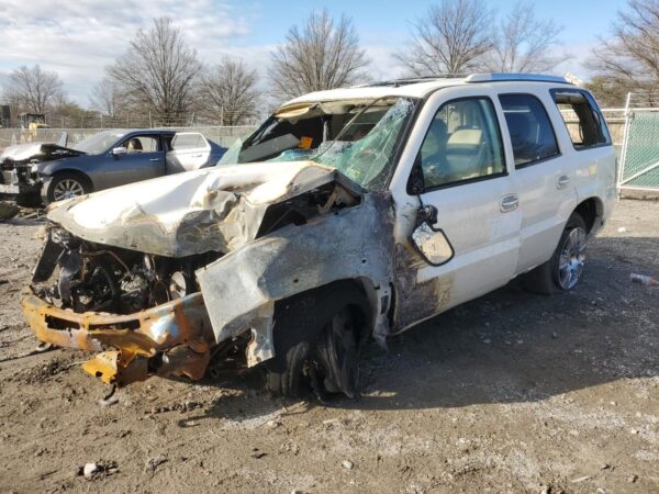 CADILLAC ESCALADE WHITE - 1GYEK63N22R213065
