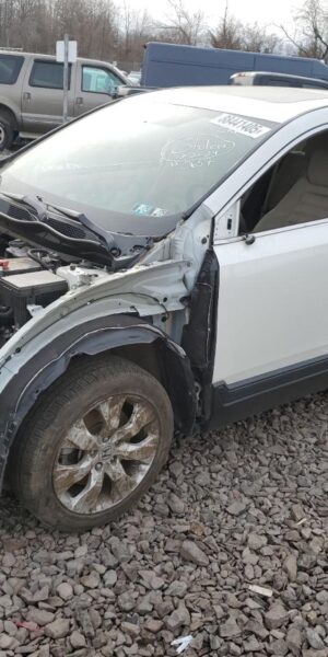 HONDA CRV WHITE - 2HKRW1H5XJH520657