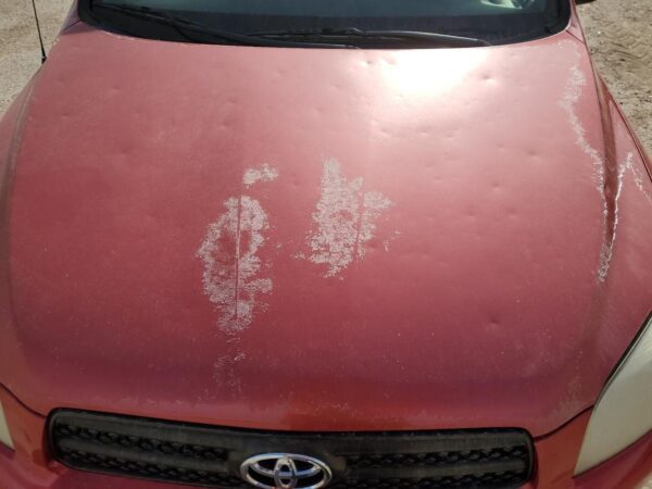 TOYOTA RAV4 RED - JTMBD33V786064891