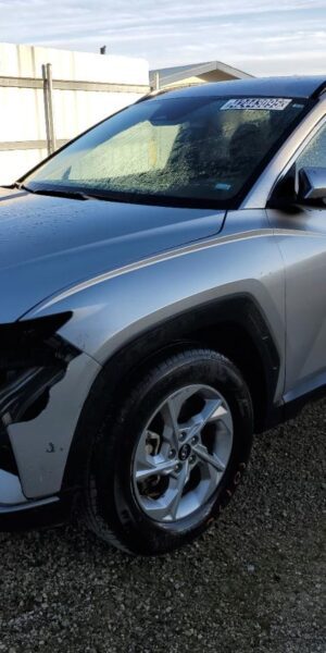 HYUNDAI TUCSON SILVER - 5NMJB3DE3RH300084