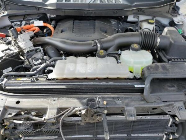 Ford F150 2021 - 1FTFW1ED3MFD01858