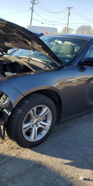 DODGE CHARGER GRAY - 2C3CDXBG4PH531197