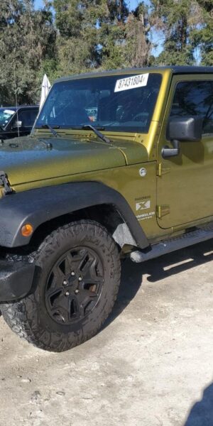 JEEP WRANGLER GREEN - 1J4GA39138L627806