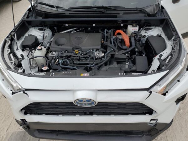 TOYOTA RAV4 WHITE - JTMB6RFV6PD091843