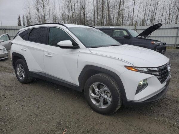 HYUNDAI TUCSON WHITE - 5NMJBCDE1RH390030