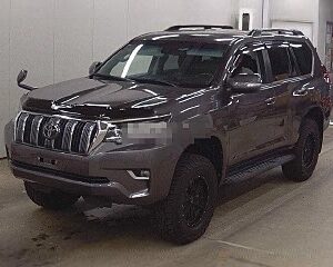 2021 Toyota Land Cruiser Prado Gray - JTEBR3FJ80K199654